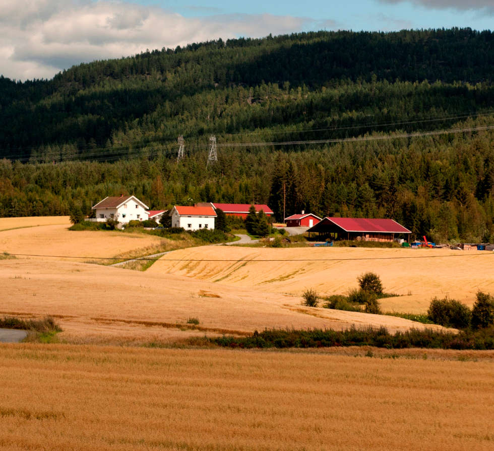 Vestfold Elektro for landbruk